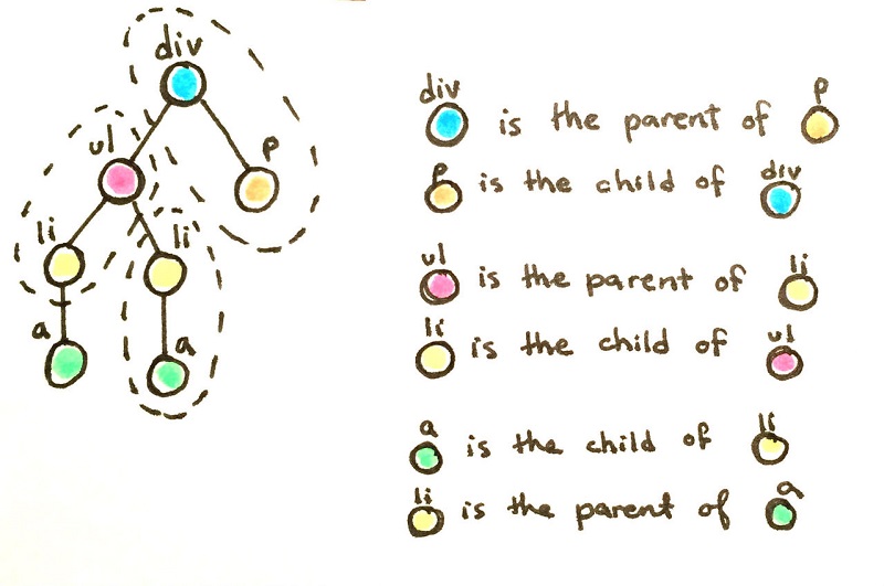 Nguồn gốc của Document Object Model là từ đâu