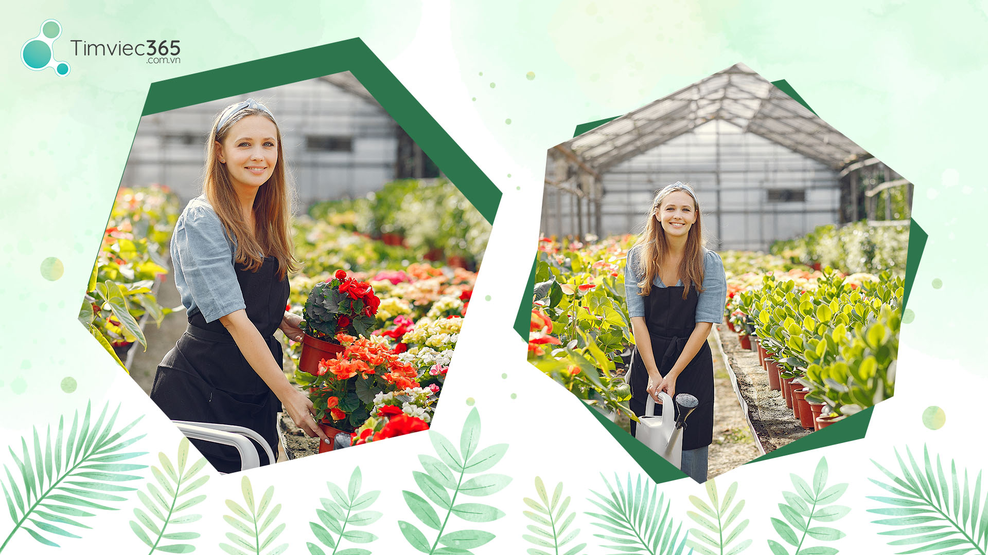 Thuật ngữ về fragrance