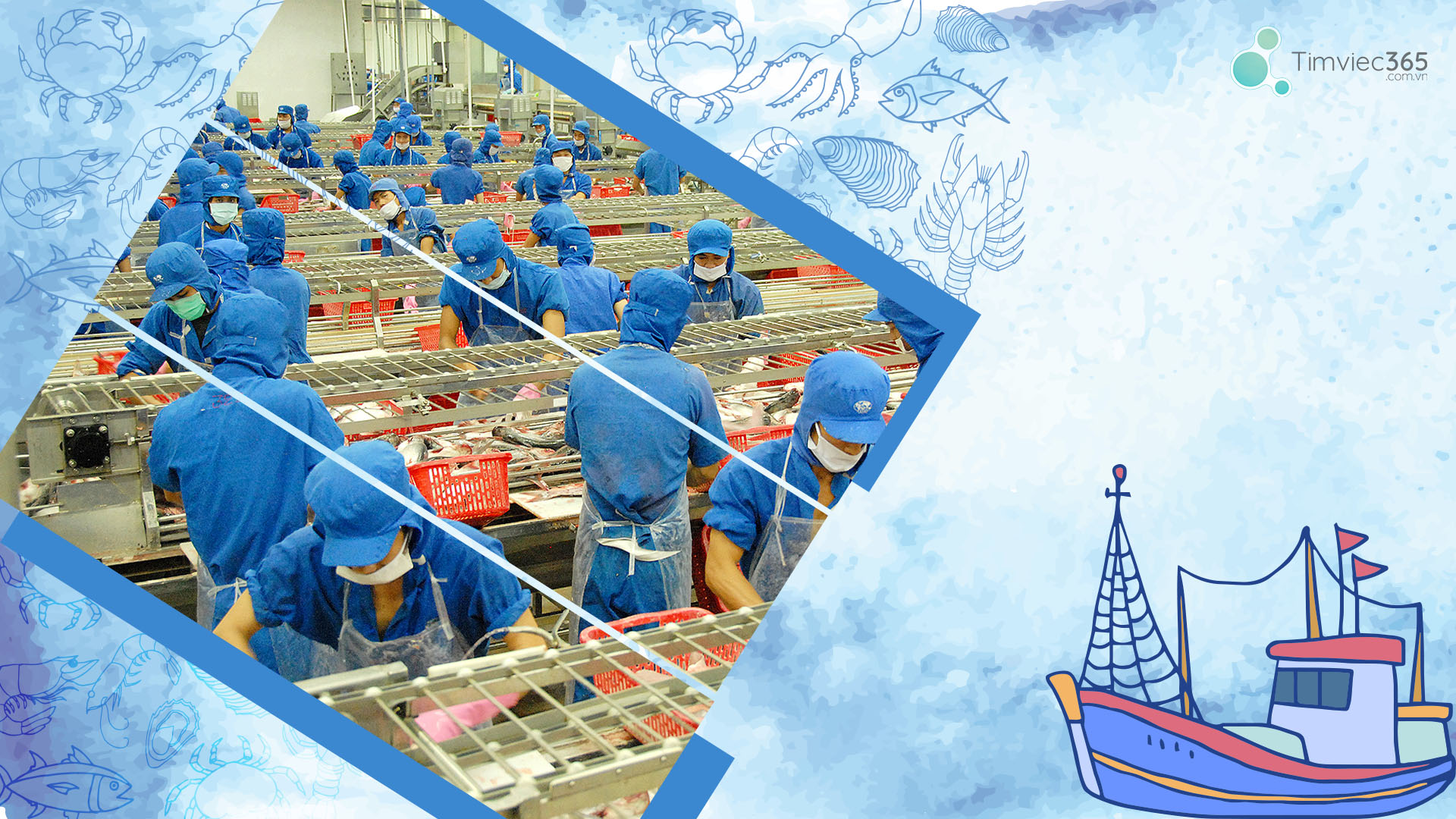 Quan sát quy trình sản xuất