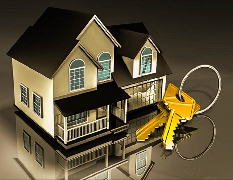 cần có mẫu hợp đồng thuê nhà làm văn phòng 