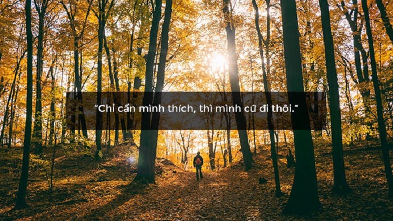 Gu là sở thích, đam mê trong tiếng Pháp