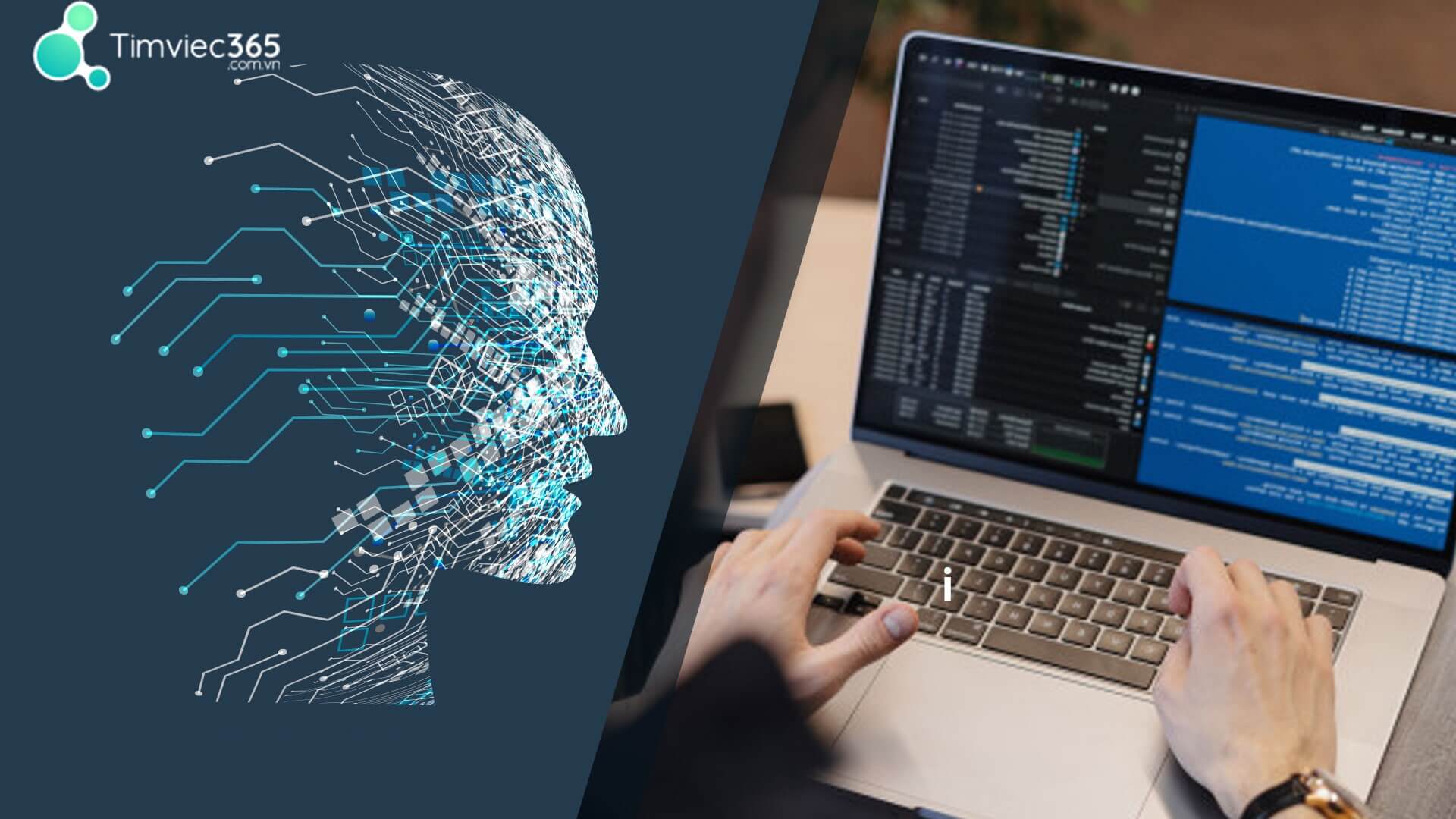 Những hiểu biết quan trọng về Unity