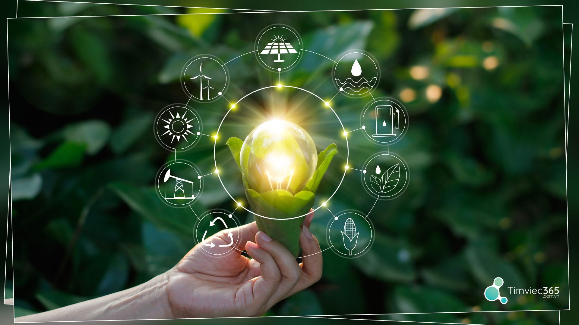 Học ngành Nông nghiệp công nghệ cao ở đâu