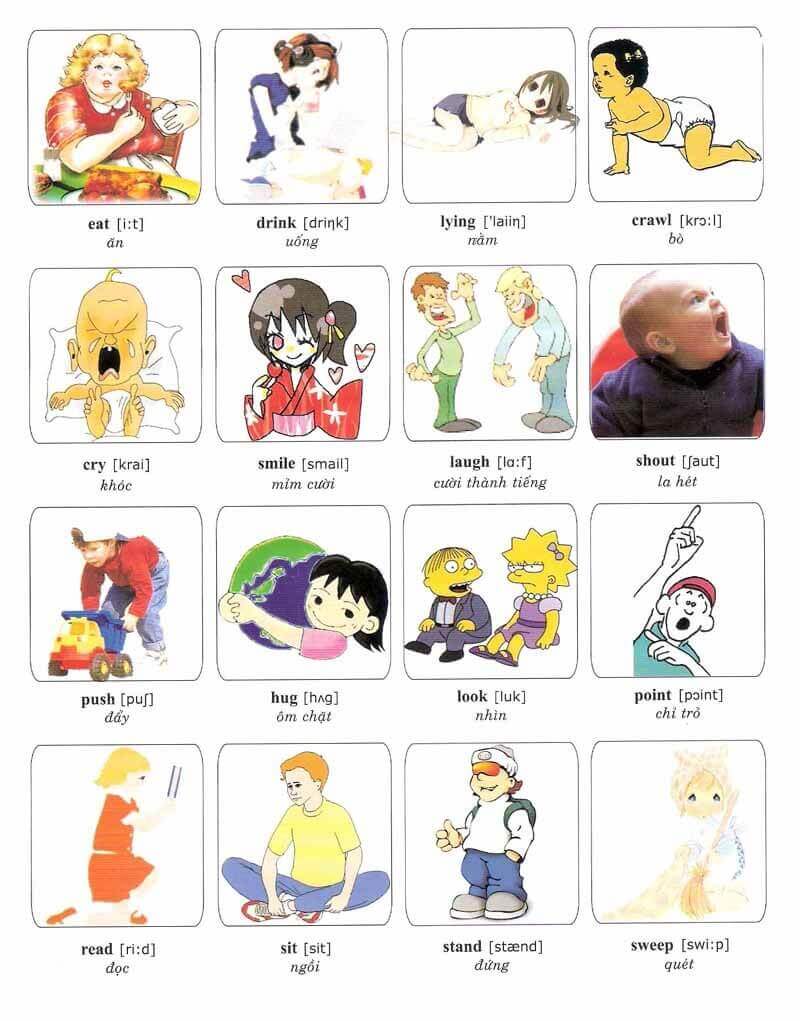 Học từ vựng Tiếng Anh qua hình ảnh