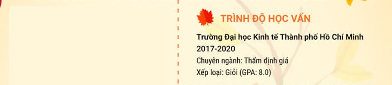 Phần trình độ học vấn trong CV xin việc thẩm định giám định