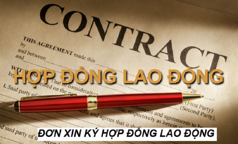 Đơn xin ký hợp đồng có vai trò vô cùng quan trọng