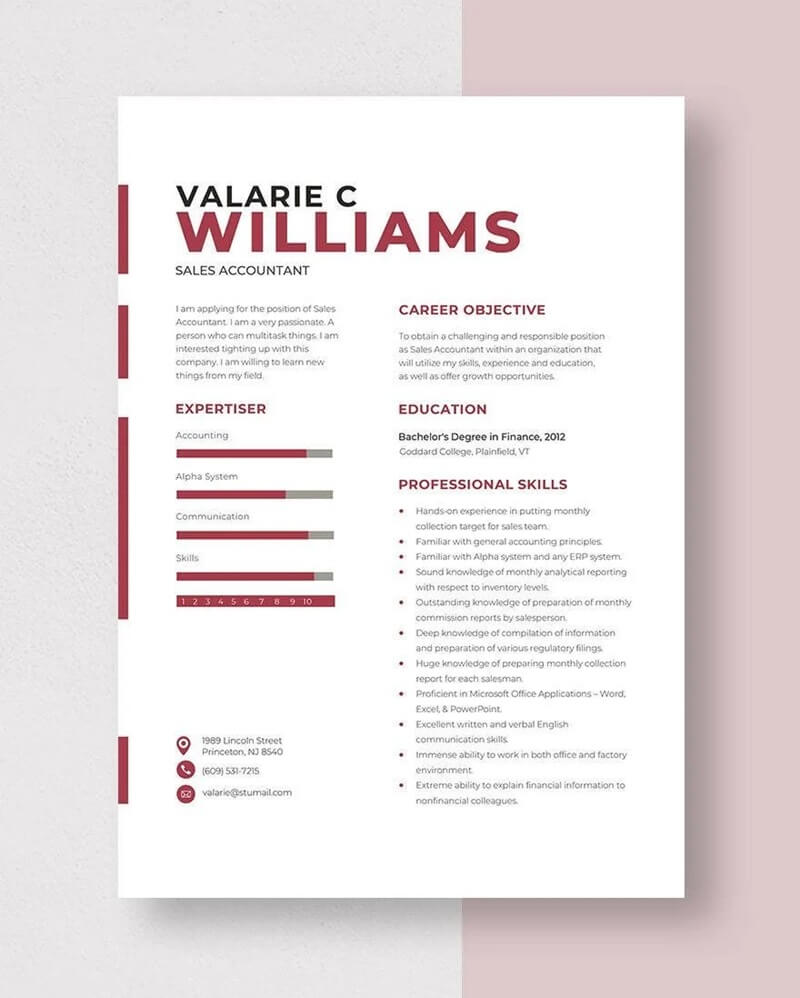 Mẫu CV xin việc cho kế toán bán hàng