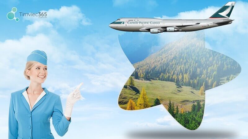 Sơ yếu lý lịch đi du lịch nước ngoài là gì