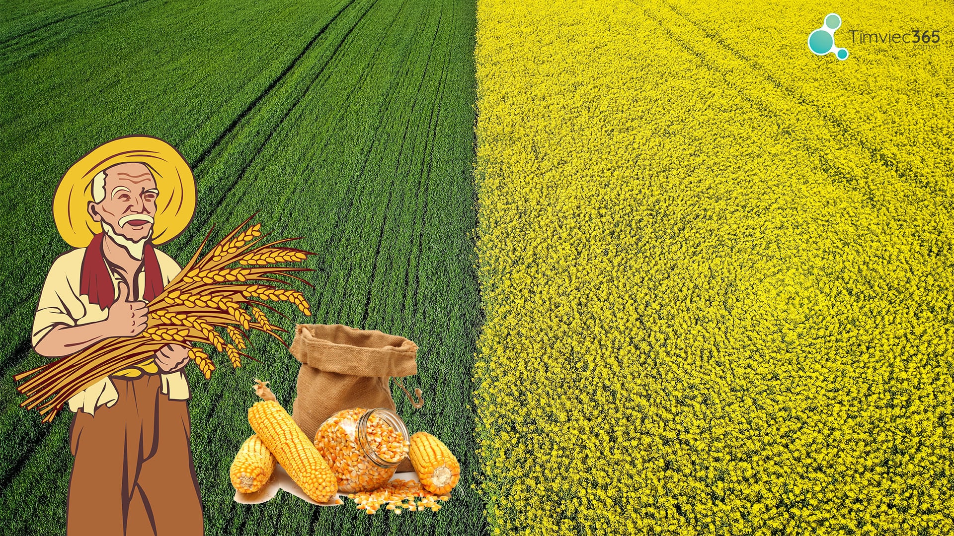 Nước ta có các chi cục kiểm dịch thực vật nào?