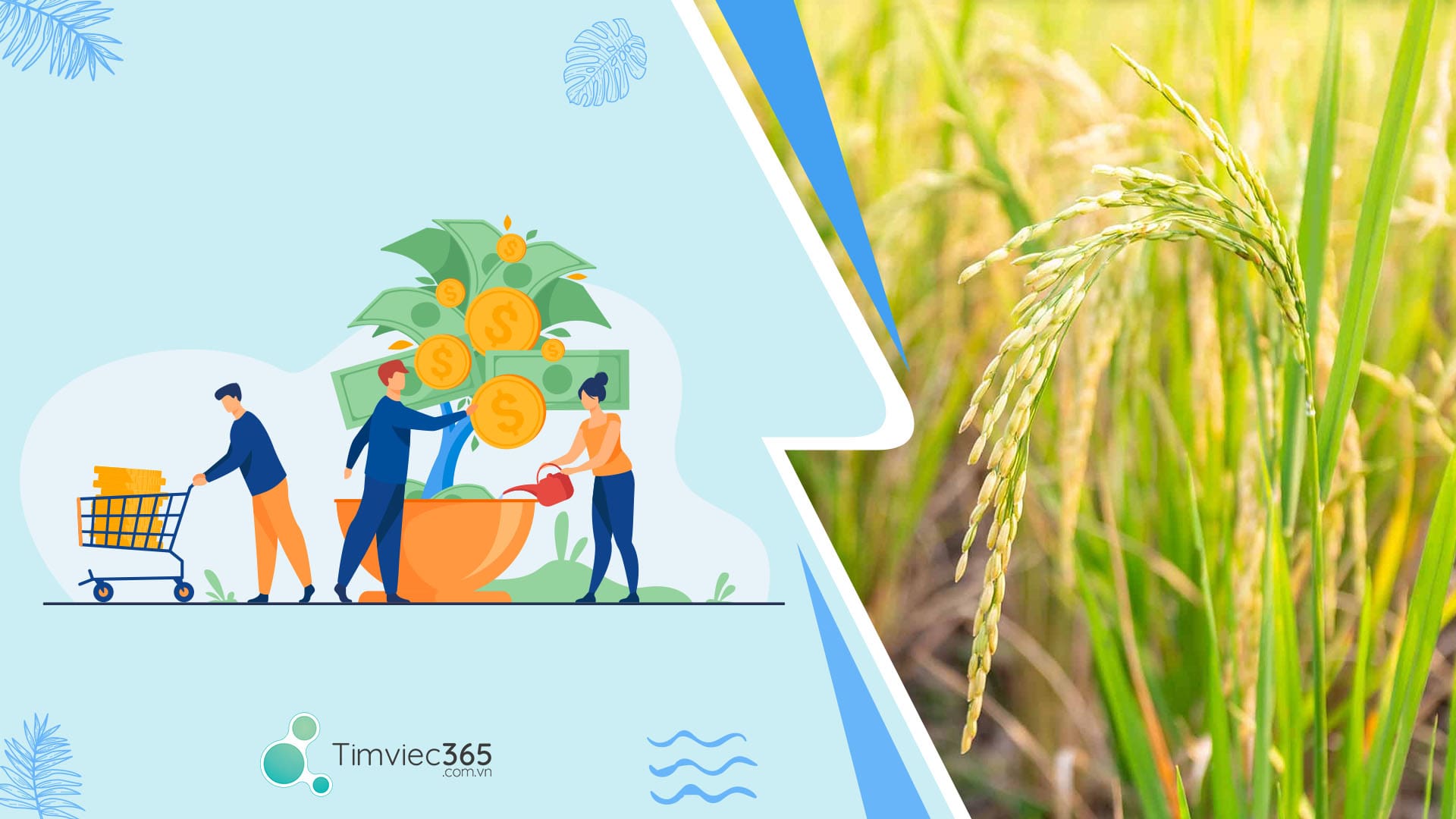  Giấy chứng nhận kiểm dịnh thực vật