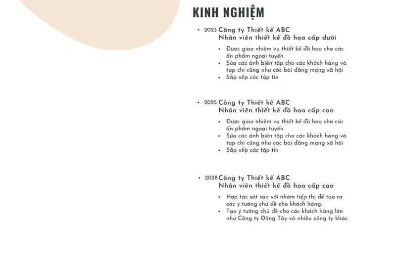 Phần kinh nghiệm làm việc trong CV thiết kế mỹ thuật