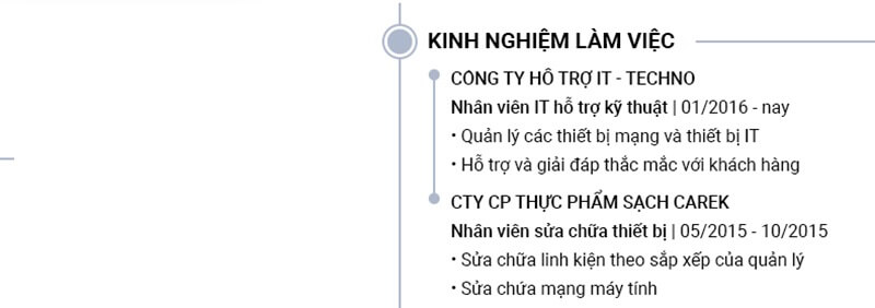 Phần kinh nghiệm làm việc trong CV IT phần cứng mạng