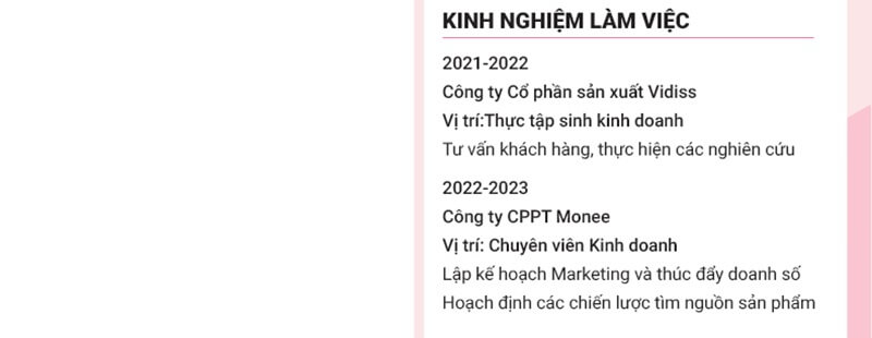 Phần kinh nghiệm làm việc trong mẫu CV quản trị kinh doanh