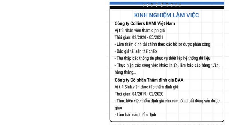 Phần kinh nghiệm làm việc trong CV xin việc thẩm định giám định