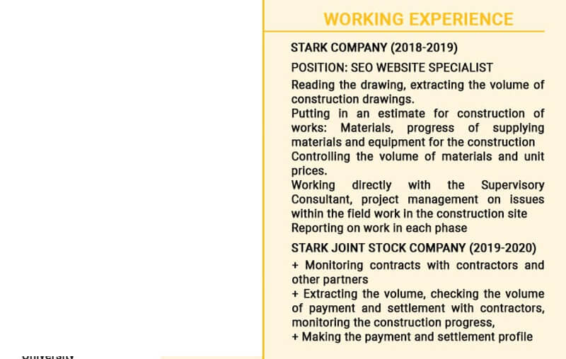 Phần kinh nghiệm làm việc trong CV xin việc SEO website