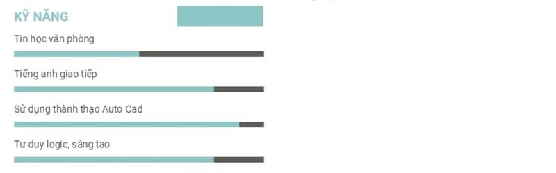 Phần kỹ năng trong CV xin việc điện - điện tử