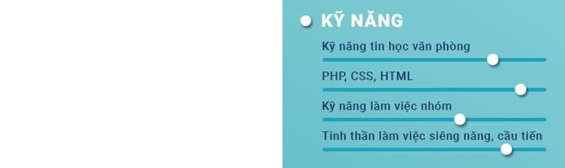 Phần kỹ năng trong CV xin việc IT phần cứng mạng