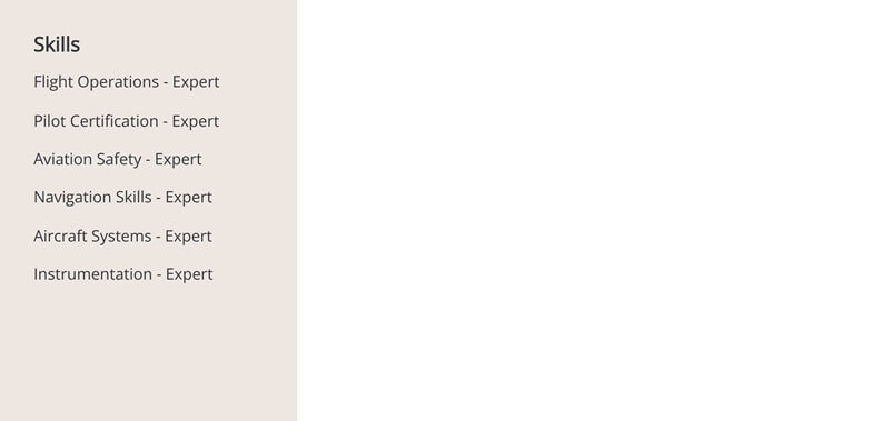 Phần kỹ năng trong CV xin việc ngành hàng không