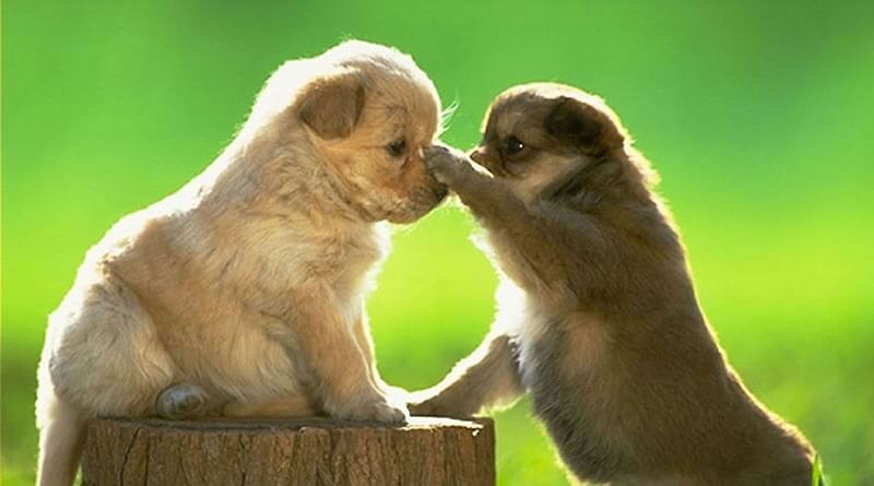 cách sống lạc quan