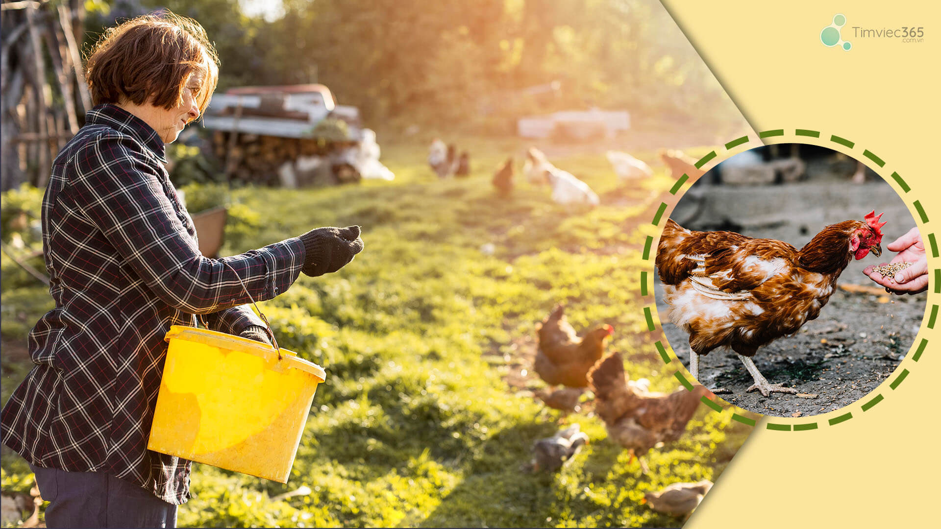 Làm việc trong lĩnh vực chăn nuôi, thủy hải sản