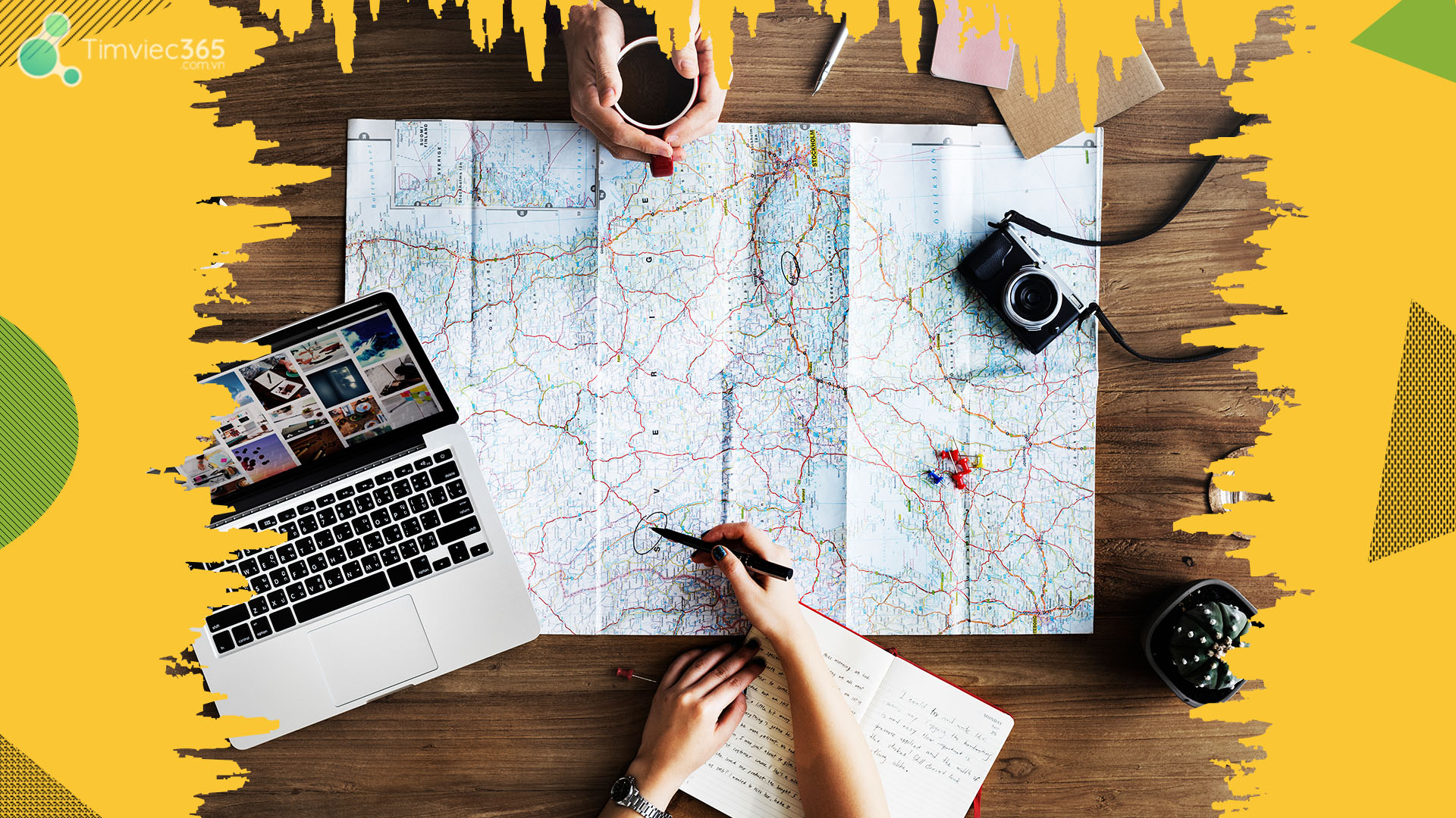 Học lịch sử ra làm công việc gì?