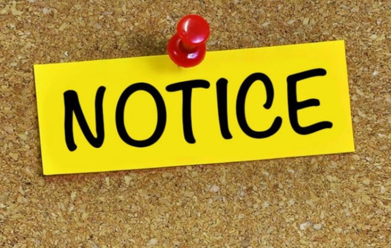 Lưu ý để có một lá đơn xin việc Bách Hóa Xanh chuẩn chỉnh