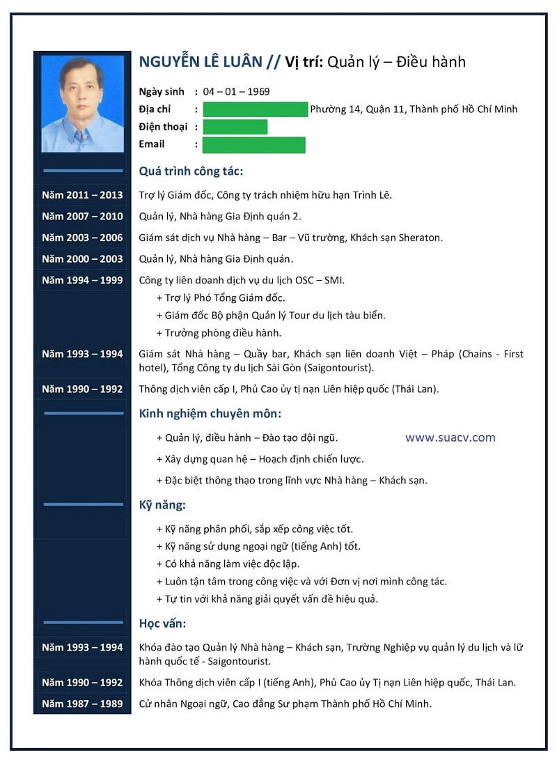 Mẫu cv Giám đốc Điều hành đẹp