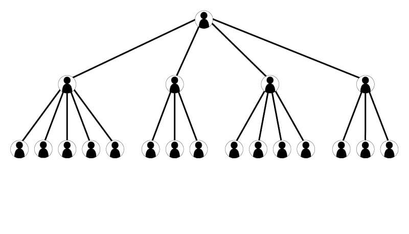 Mô hình tổ chức theo chức năng