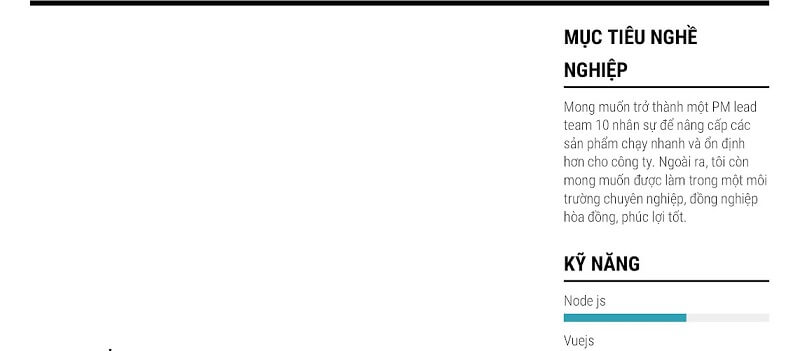 Mục tiêu nghề nghiệp trong CV xin việc IT