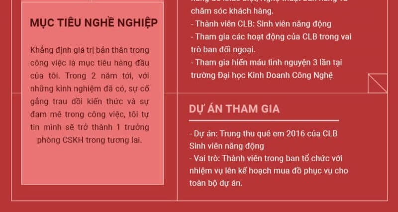 Phần mục tiêu nghề nghiệp trong CV xin việc bán hàng