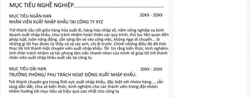 Phần mục tiêu trong CV xuất nhập khẩu