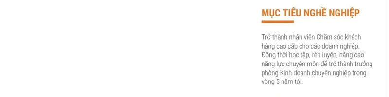 Phần mục tiêu nghề nghiệp trong CV ngành dịch vụ