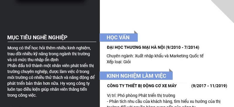 Phần mục tiêu nghề nghiệp trong CV xin việc phát triển thị trường