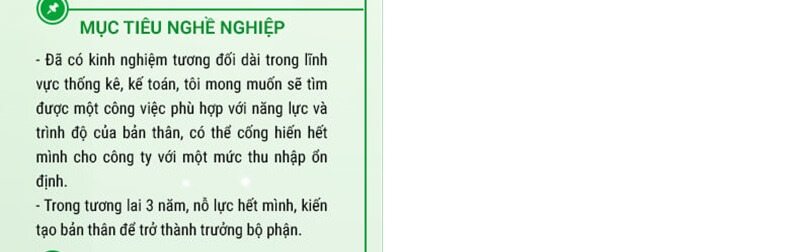 Phần mục tiêu nghề nghiệp trong CV xin việc ngành thống kê