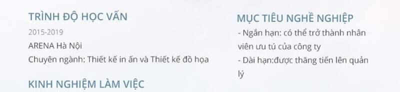 Phần mục tiêu nghề nghiệp trong CV thiết kế mỹ thuật