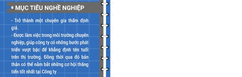 Phần mục tiêu nghề nghiệp trong CV xin việc thẩm định giám định
