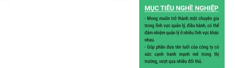 Phần mục tiêu nghề nghiệp trong CV xin việc quản lý