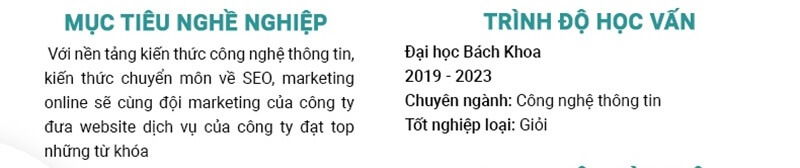 Phần mục tiêu nghề nghiệp trong CV xin việc SEO website