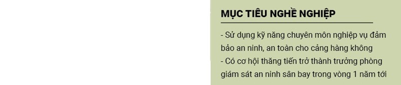 Phần mục tiêu nghề nghiệp trong CV xin việc ngành hàng không