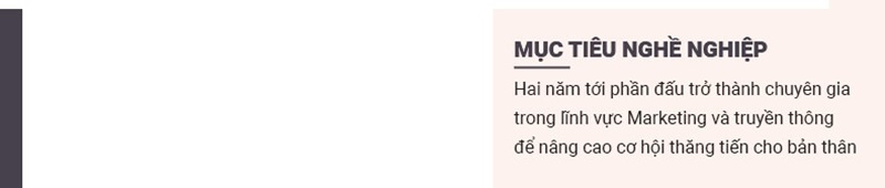 Phần mục tiêu nghề nghiệp trong CV xin việc Copywriter
