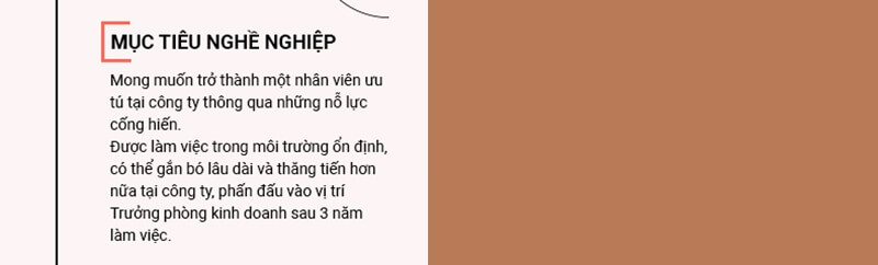 Phần mục tiêu nghề nghiệp trong CV xin việc sinh viên mới ra trường