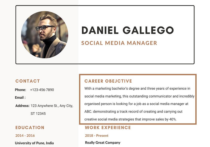 Phần mục tiêu nghề nghiệp trong CV xin việc tiếng anh