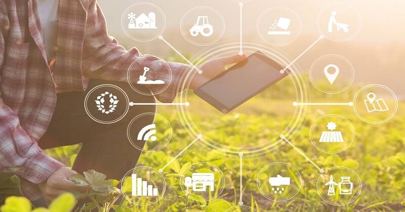 Đào tạo các kiến thức liên quan đến công nghệ được ứng dụng trong nông nghiệp