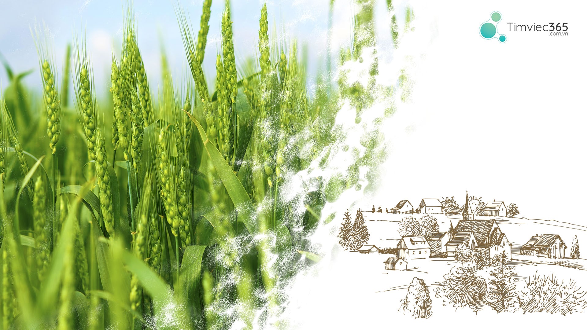  Tìm việc làm thông qua các mối quan hệ