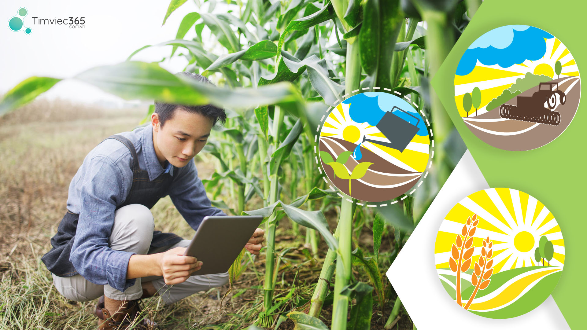 Tìm việc làm trên các trang web tuyển dụng