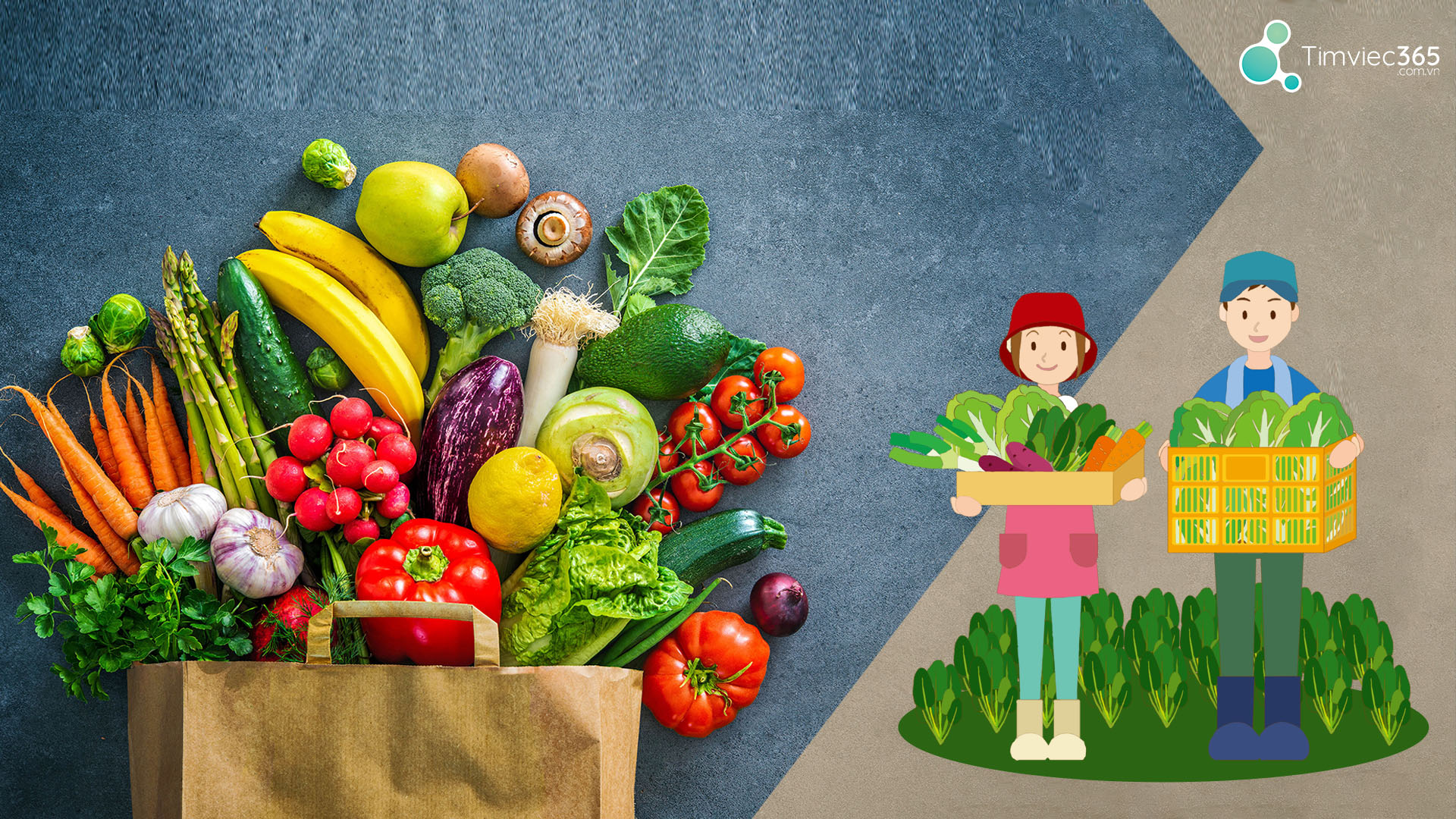 Để thành công với ngành bảo vệ thực vật, bạn cần gì?