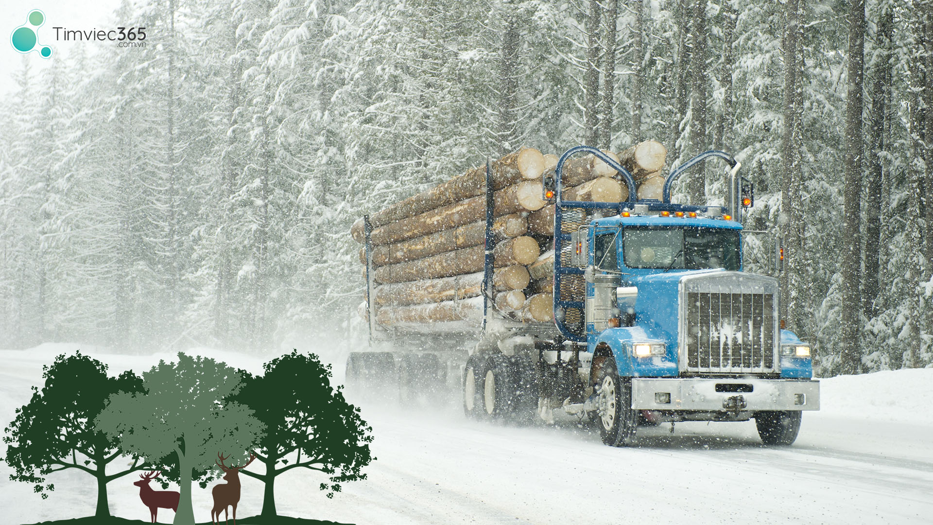 Các cơ quan nghiên cứu, đào tạo thực vật, cây trồng