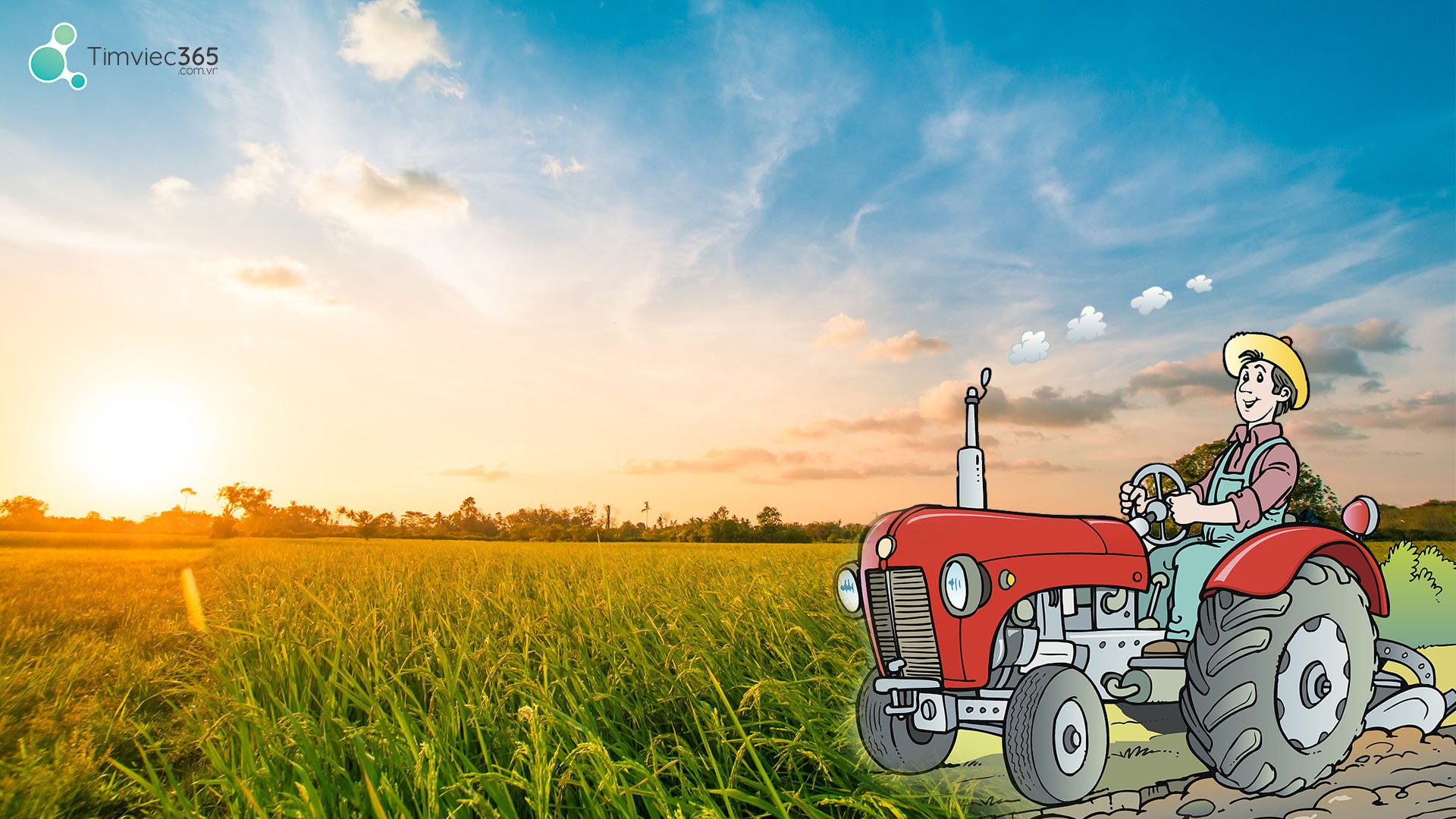 Tự xây dựng sự nghiệp riêng