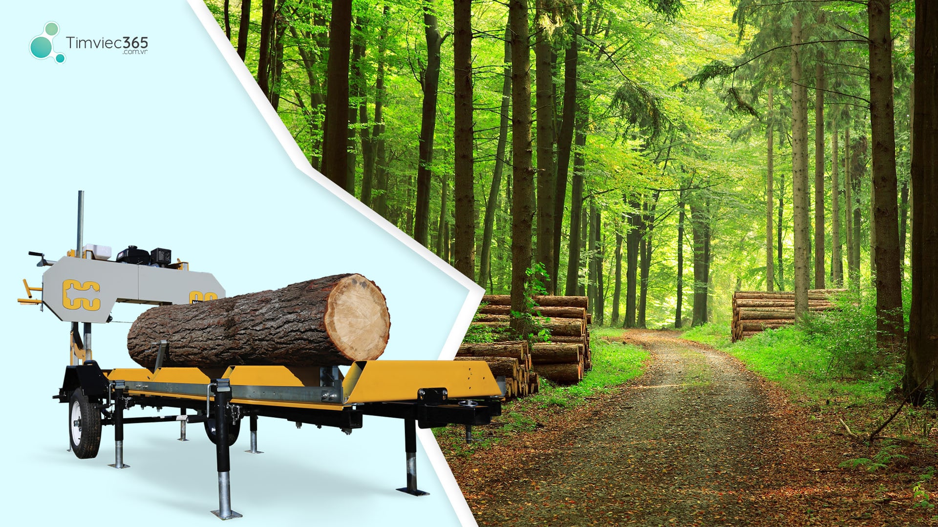 Lương ngành bảo vệ thực vật như thế nào?