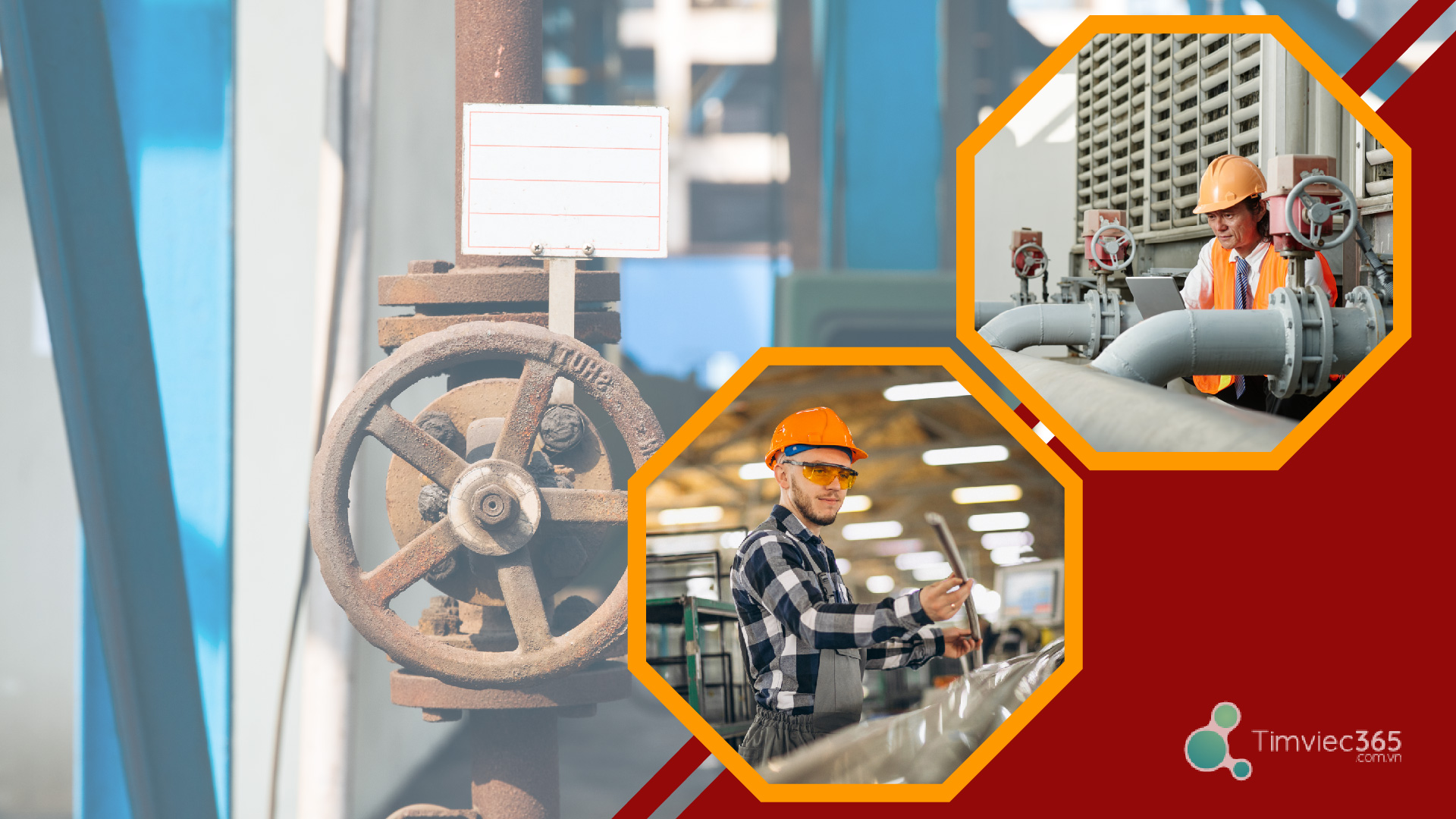 Một số việc làm phù hợp khác